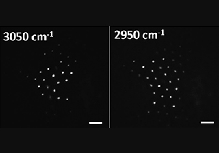 一种快速的相干反斯托克斯拉曼散射显微镜